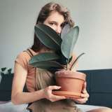 miomio.free from onlyfans